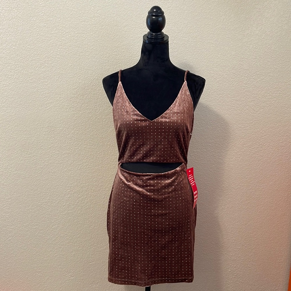 NWT Speechless Velvet Dress
